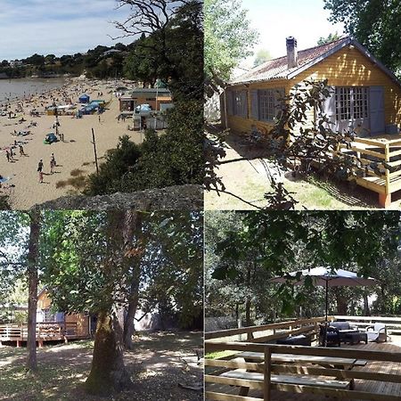 משר-סור-ג'ירונדה La Palombiere, Plage A 150M מראה חיצוני תמונה