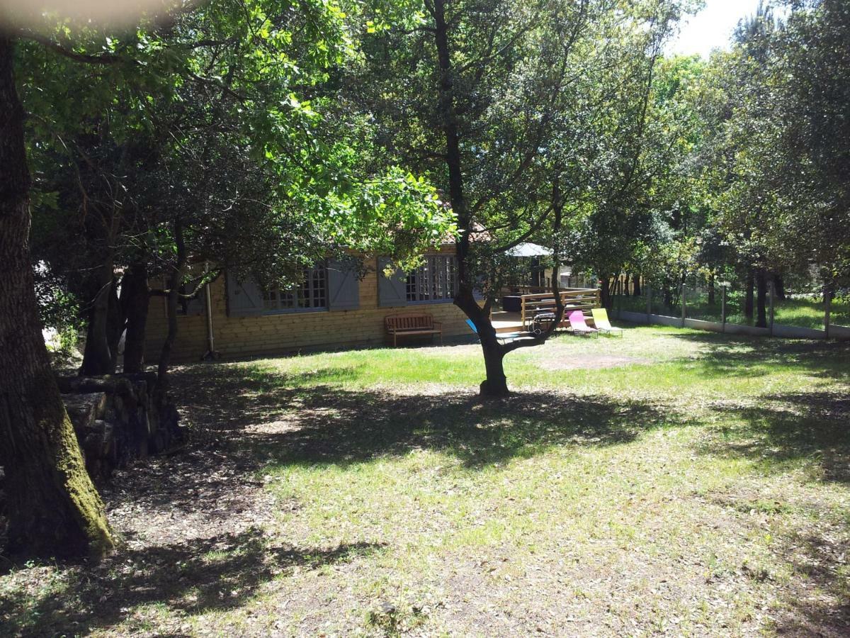 משר-סור-ג'ירונדה La Palombiere, Plage A 150M מראה חיצוני תמונה