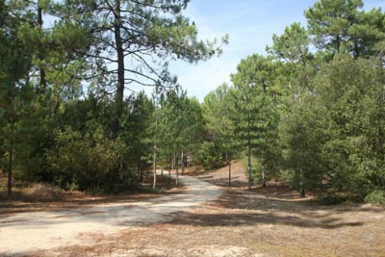 משר-סור-ג'ירונדה La Palombiere, Plage A 150M מראה חיצוני תמונה